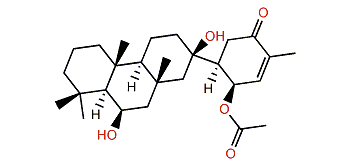 Isosuberitenone B